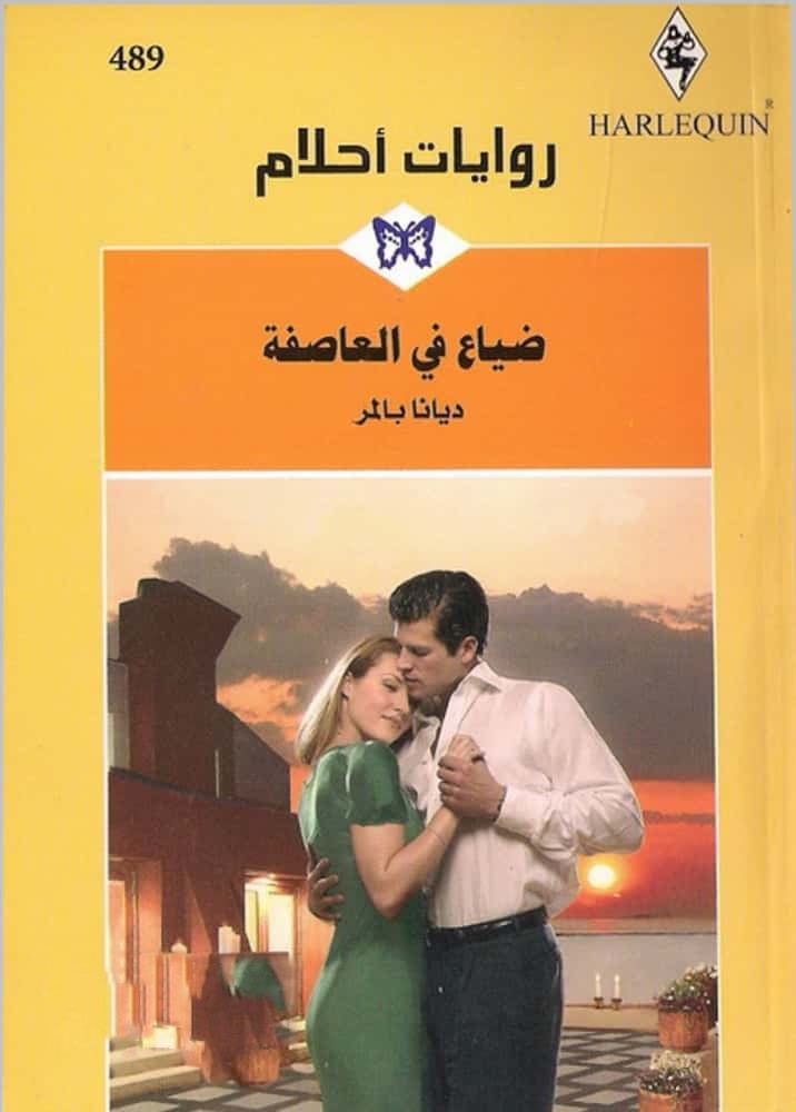 ضياع في العاصفة