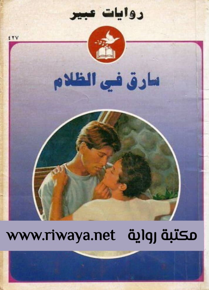 سارق في الظلام
